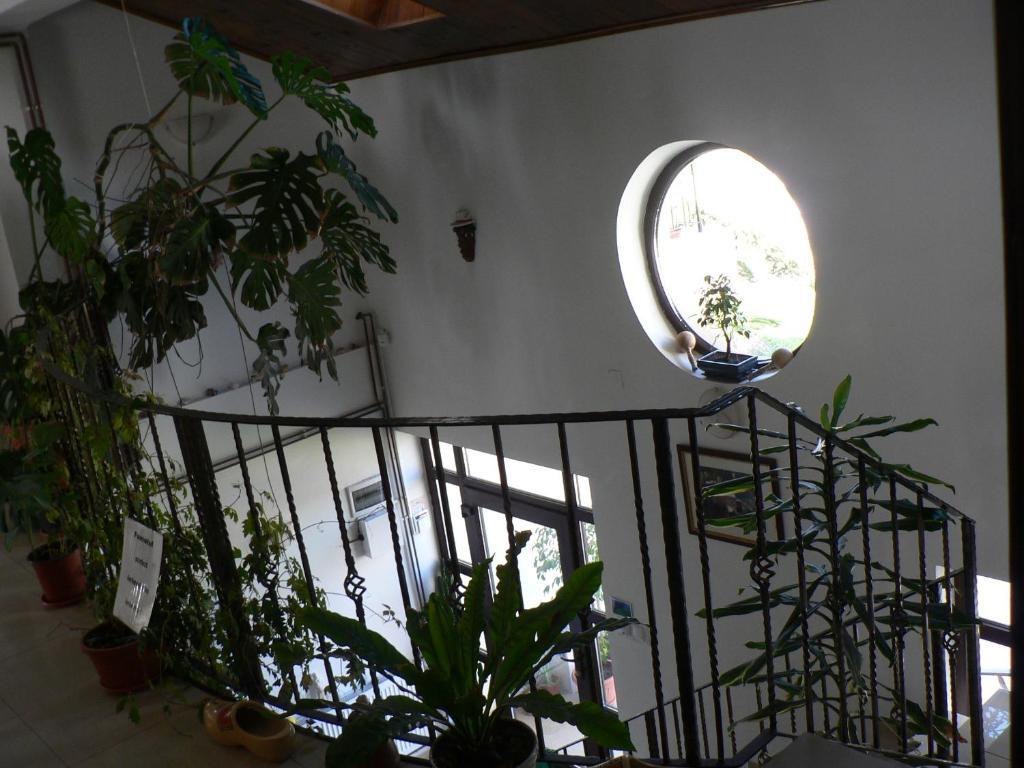 Casa Havana (Adults Only) 코스티네스티 외부 사진